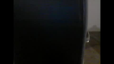 Snapshot of gerabo chatting on 01-25-25, 04:57 gerabo online show from 01-25-25, 04:57