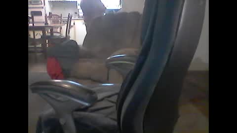 Snapshot of gerabo chatting on 03-09-25, 04:05 gerabo online show from 03-09-25, 04:05