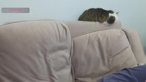 Gerta online show from 03-08-26, 09:29