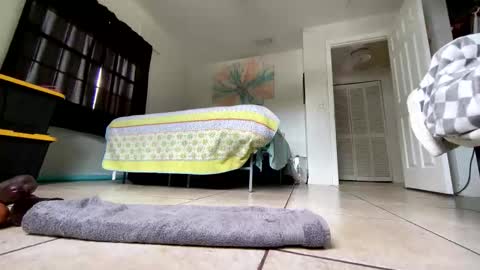 Getngetout88 online show from 03-19-26, 06:23