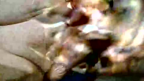 Snapshot of ghost1805 chatting on 10-29-25, 09:16 ghost1805 online show from 10-29-25, 09:16