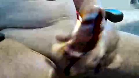 Snapshot of ghost1805 chatting on 11-10-25, 11:26 ghost1805 online show from 11-10-25, 11:26