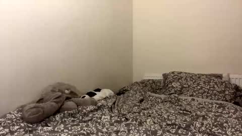 Snapshot of ghostpetal chatting on 10-12-25, 01:37 ghostpetal online show from 10-12-25, 01:37