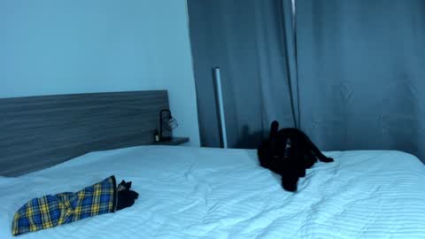 giannasue online show from 01-11-25, 06:01