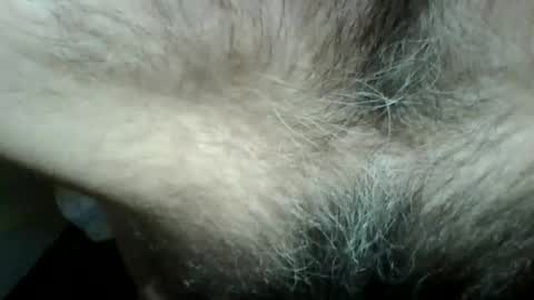 Snapshot of gigigegio chatting on 09-14-25, 06:07 gigigegio sky online show from 09-14-25, 06:07