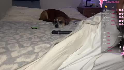 gigi online show from 12-29-24, 07:53