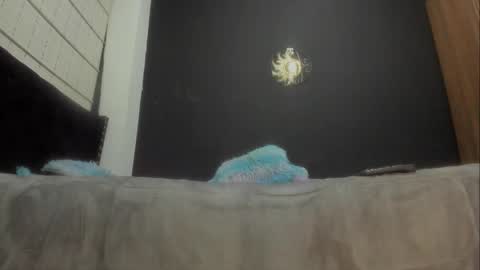 Miss online show from 03-07-25, 06:54