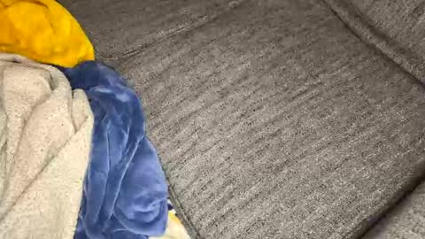 Snapshot of gingerrslut chatting on 03-13-26, 08:54 gingerrslut online show from 03-13-26, 08:54