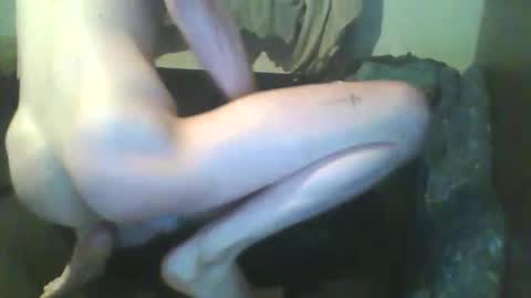 Snapshot of girthdoctor chatting on 12-03-25, 01:02 girthdoctor online show from 12-03-25, 01:02