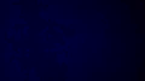 Snapshot of giuseppeciao206 chatting on 12-16-25, 09:25 elen06 online show from 12-16-25, 09:25