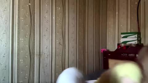 Snapshot of gladisstipes chatting on 03-22-26, 09:02 Hello My name is Ashley online show from 03-22-26, 09:02