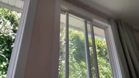 globalmovement online show from 04-26-26, 07:55