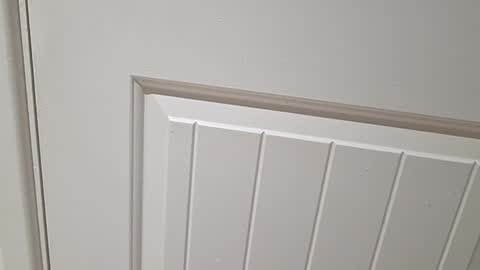 Gloscam online show from 11-23-25, 11:15