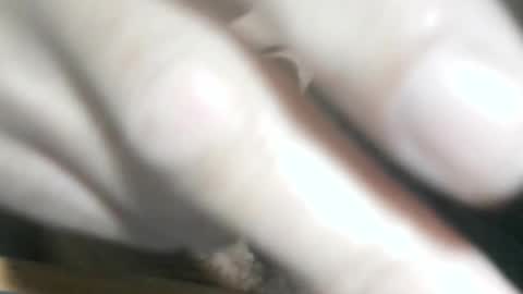 Snapshot of glyder1961 chatting on 11-14-25, 03:33 Glyder online show from 11-14-25, 03:33