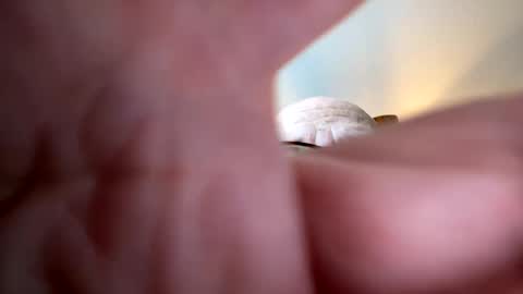 gngnxxx online show from 10-07-25, 12:02