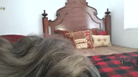 Snapshot of goddess_xandra_xquisite chatting on 03-19-26, 01:26 Xandra The Goddess online show from 03-19-26, 01:26