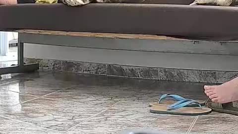 goddesshannahfeet_ online show from 04-13-26, 04:45