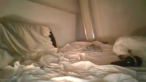 godonsin online show from 12-17-24, 07:50