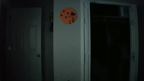 Snapshot of gokugarrison4334 chatting on 11-29-25, 09:23 gokugarrison4334 online show from 11-29-25, 09:23