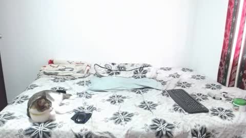 gold_shooter online show from 03-12-26, 02:56