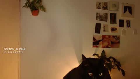 Alaska online show from 11-05-25, 11:05