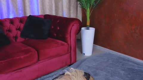 Snapshot of goldenamberx chatting on 01-29-25, 05:19 GoldenAmberX online show from 01-29-25, 05:19