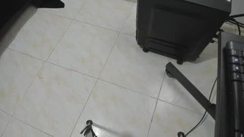 Snapshot of goldyht chatting on 12-16-25, 12:54 goldyht online show from 12-16-25, 12:54