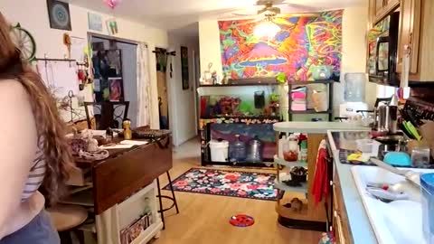 Snapshot of goodgirlcelestecat chatting on 11-21-25, 04:05 goodgirlcelestecat online show from 11-21-25, 04:05