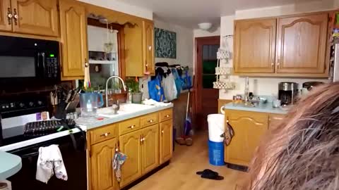 Snapshot of goodgirlcelestecat chatting on 03-23-26, 10:30 goodgirlcelestecat online show from 03-23-26, 10:30