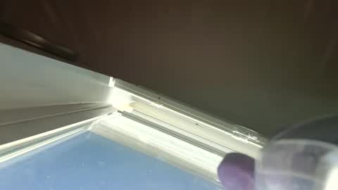 goosetrucker982440 online show from 09-30-25, 02:00