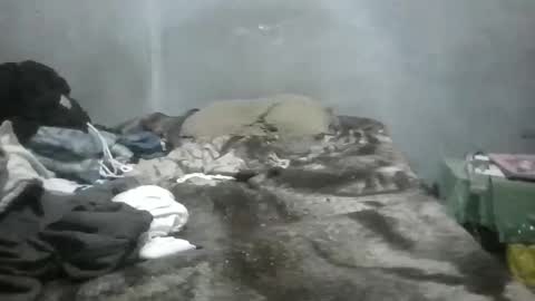 Snapshot of gorditoricojeje chatting on 09-20-25, 03:07 GorditoRicoJejeMX online show from 09-20-25, 03:07