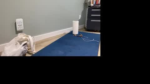 GoshLover online show from 11-04-25, 05:01