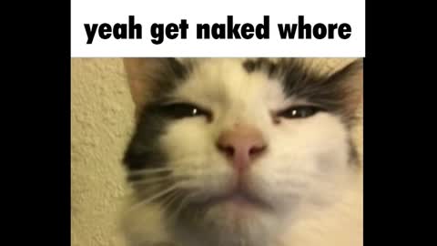 Amy online show from 03-03-25, 12:26