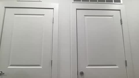 grace bailey online show from 02-04-26, 03:01