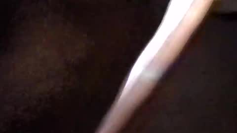 Get US to 1000 you wont be disapointed online show from 03-16-26, 05:44