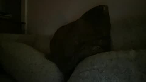 Snapshot of greenlova chatting on 12-25-24, 02:35 Sonny online show from 12-25-24, 02:35