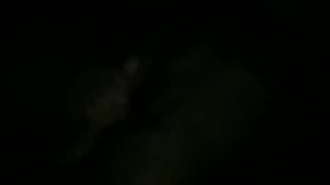 Snapshot of greenlova chatting on 10-11-25, 10:25 Sonny online show from 10-11-25, 10:25