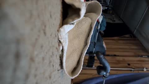 electrogee1 online show from 03-15-26, 01:00