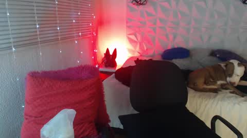 Snapshot of gretta_n_dannie chatting on 01-14-25, 07:59 Gretta n dannie online show from 01-14-25, 07:59