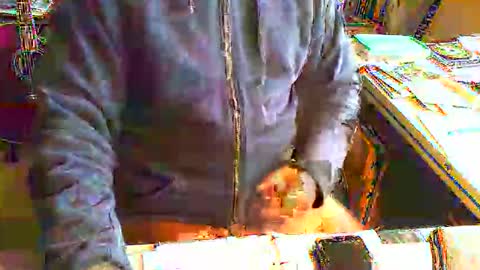 greyhounddog online show from 06-11-26, 08:34