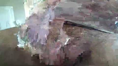 deviant156 online show from 05-18-26, 07:09