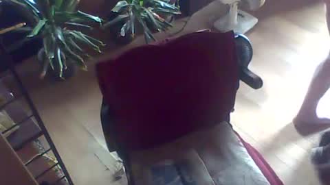 Snapshot of gssikstyfor chatting on 07-26-26, 10:55 Guido online show from 07-26-26, 10:55