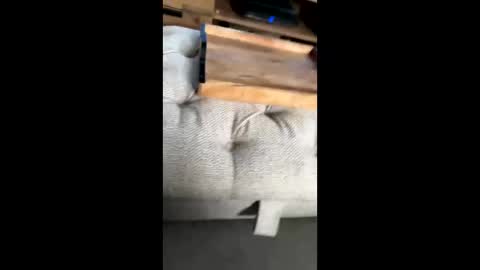 gt79802068 online show from 11-22-25, 12:04