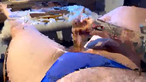 gt79802068 online show from 01-11-26, 06:07