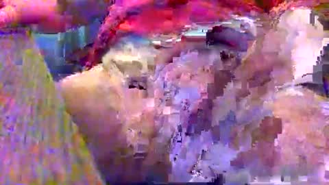 Gary online show from 12-12-24, 02:37