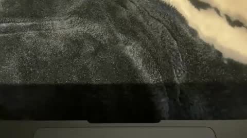 Snapshot of gumbywanna chatting on 11-16-25, 02:00 gumbywanna online show from 11-16-25, 02:00