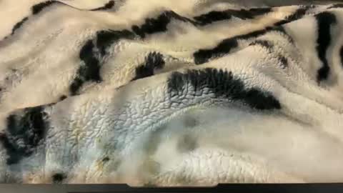 Snapshot of gumbywanna chatting on 11-26-25, 02:56 gumbywanna online show from 11-26-25, 02:56