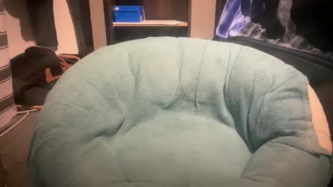 Snapshot of gumbywanna chatting on 01-06-26, 11:51 gumbywanna online show from 01-06-26, 11:51