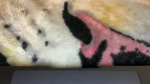 gumbywanna online show from 03-09-26, 06:06