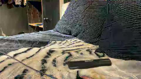 gumbywanna online show from 03-15-26, 02:39